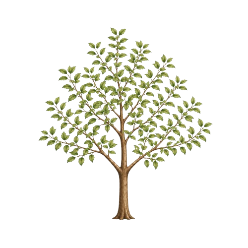 Apple Tree young tree stage